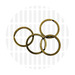 169-1025-RBrass4