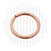 169-1025-RGold1