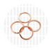 169-1025-RGold4
